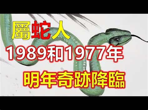 1989生肖蛇|1989年生肖全面解析：属蛇者的性格、运势与时代风采